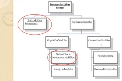 Uzņēmējdarbības formas un nodokļa izvēles iespējas pirtniekiem