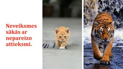 Pievienotās vērtības radīšana un produktu stāsta saturs