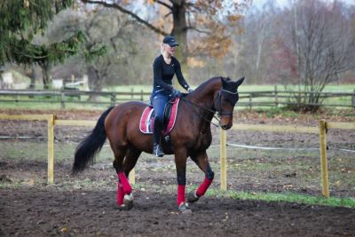 Jātnieku sporta biedrības "Lagoss Dressage" attīstība
